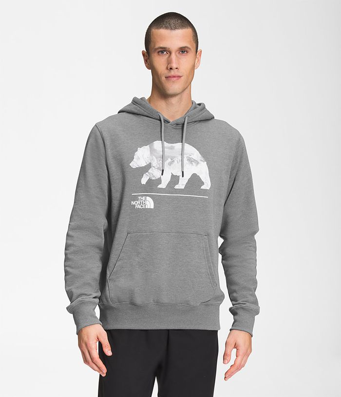 The North Face Φουτερ Με Κουκουλα Γκρι Ανδρικα Bearscape Πουλόβερ - Greece 4207VHYTU